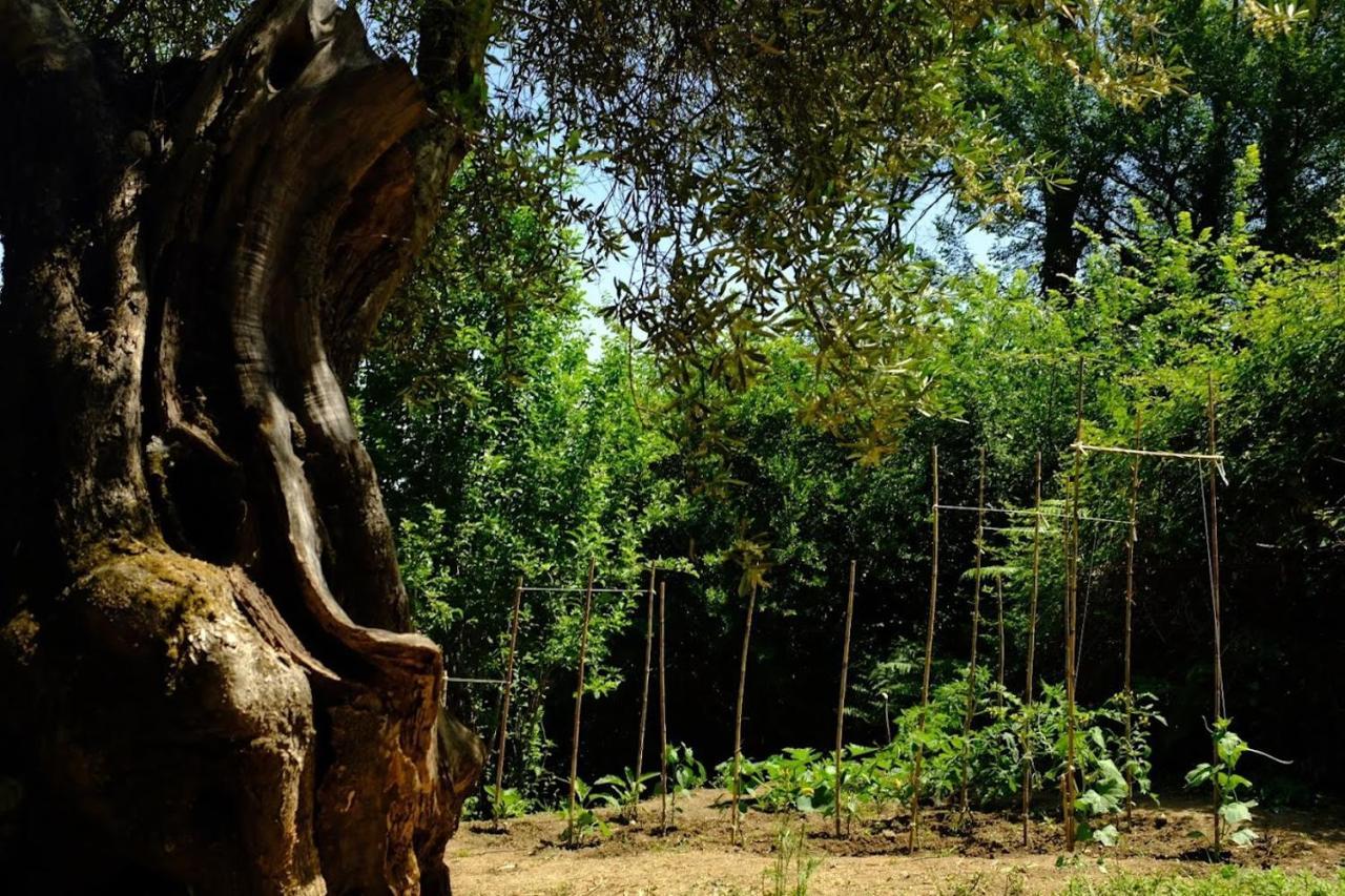 Villa Boukari Chlomos Exteriér fotografie